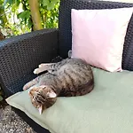 Szálloda Pink Lela 2*