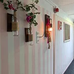 酒店 Pink Lela 2*