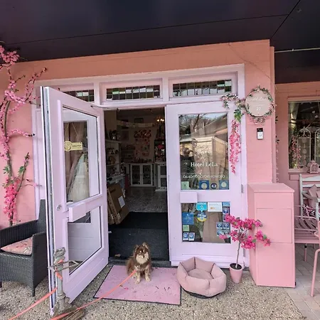 Pink Lela Valkenburg aan de Geul