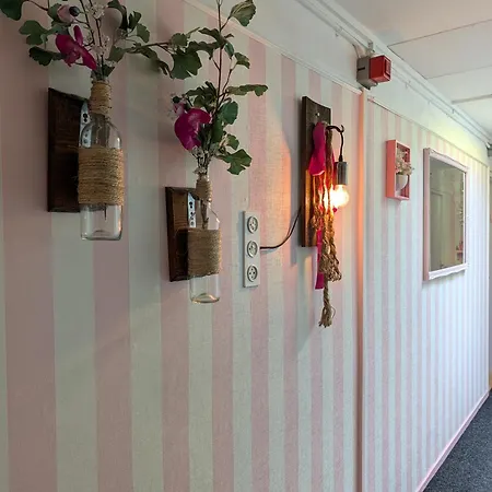 Hotel Pink Lela 2*